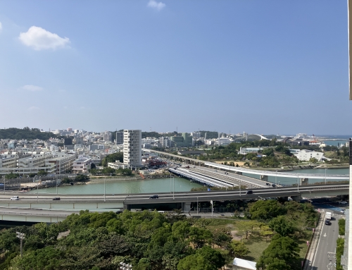 🐋那覇大綱挽きまつり🐋ブランシエラ那覇古波蔵